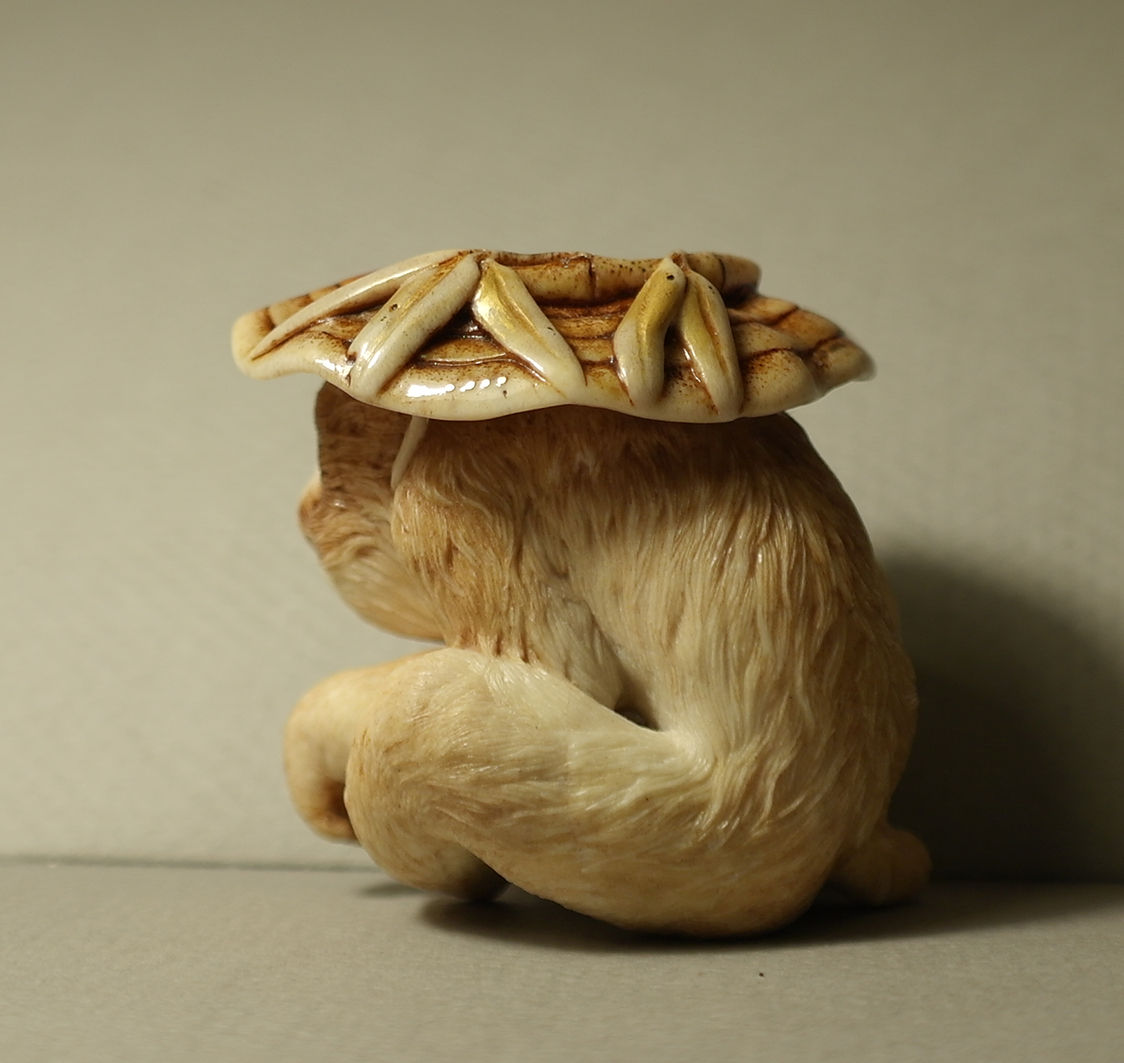 Monkey and reishi004